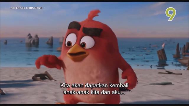 The Angry Birds Movie TV9 - Egg Thieves and Challenge Piggy Island смотреть онлайн
