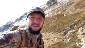 Охота на гималайского улара.