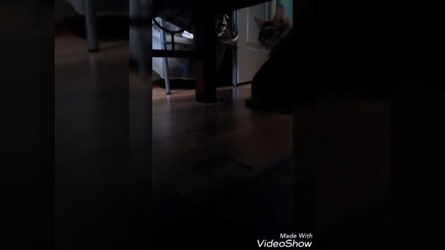 24 часа челлендж лежу под кроватью сестры 😜😝😛 смотреть онлайн