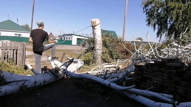 К-700 против берёз смотреть онлайн