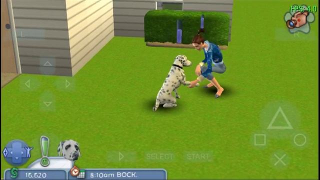 The Sims 2 Pets Обзор игры на PSP emulitor смотреть онлайн