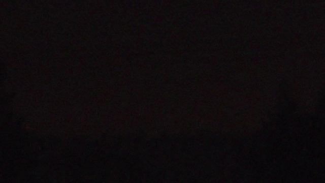 Panasonic HC-X920 55x Zoom in low light смотреть онлайн
