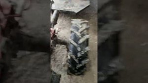 16 колеса на мотоблок МТЗ беларус 05 на диски от Нивы