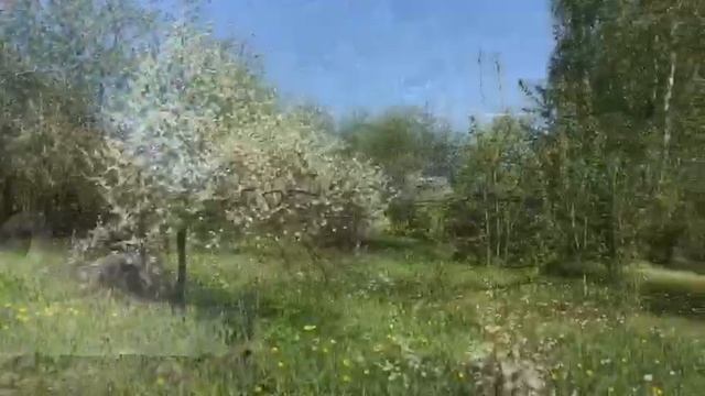 Скульптурный пакр 