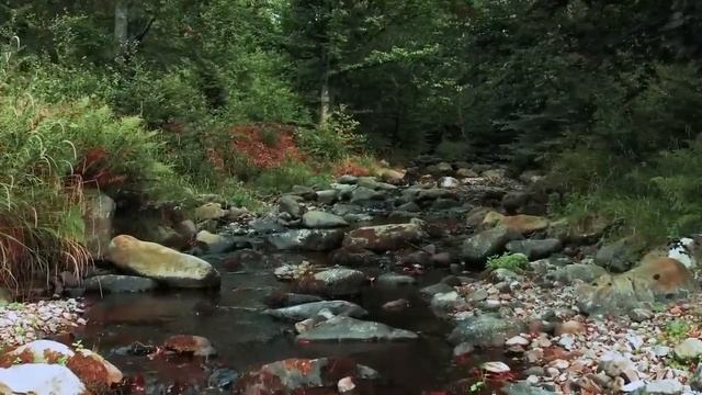 90s 2000s HIPHOP MIX ? 50 Cent, 2Pac, Method Man, DMX, Snoop Dogg, Dr. Dre,... ? Classic Hip Hop Mi смотреть онлайн