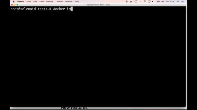 Selenoid: browsers in containers. Demo video. смотреть онлайн