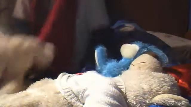 №1 Бокс без правил. смотреть онлайн
