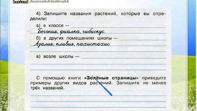 Задание 2 4 Разнообразие растений - Окружающий мир 3 класс Плешаков А.А. 1 часть