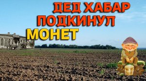 Коп монет на ПОСТОЯЛОМ ДВОРЕ!