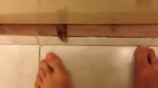 Кошачьи лапки из под двери смотреть онлайн