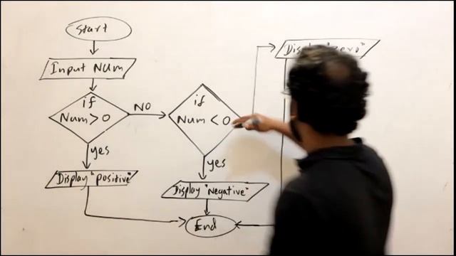 Programming in Python | Finding Positive, Negative, Zero| Flow Chart | Pseudo code | Program смотреть онлайн