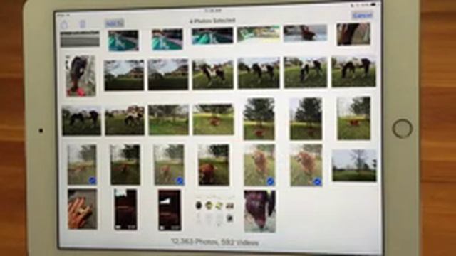 iPhone / iPad Photos App - Albums & Organizing смотреть онлайн