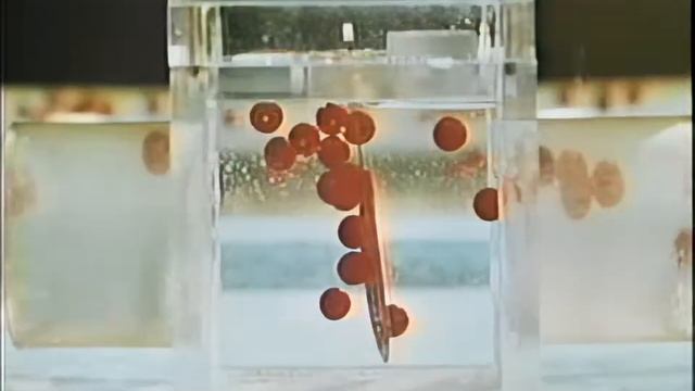 Указательные столбы в воздухе (1960) HD | Научный Институт МУДИ смотреть онлайн