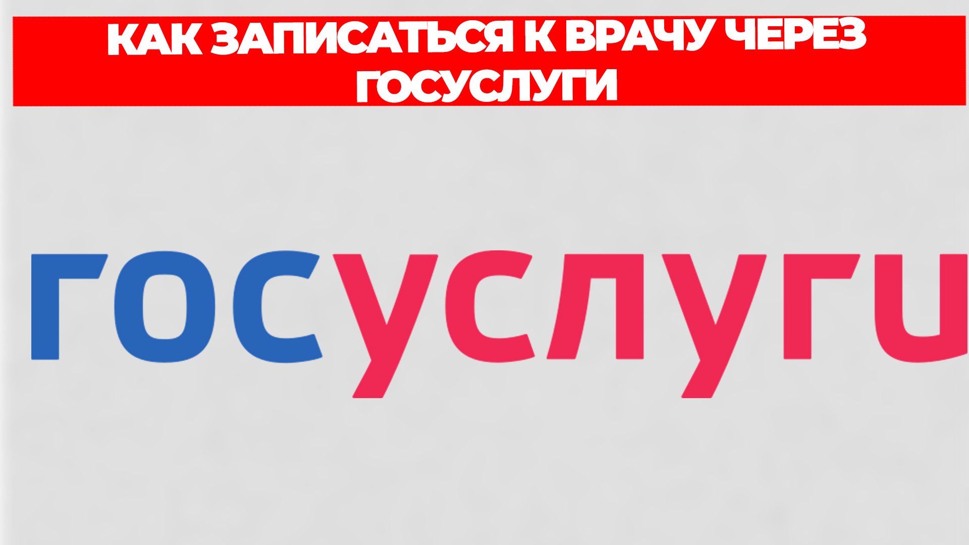 Всезнающий Енот