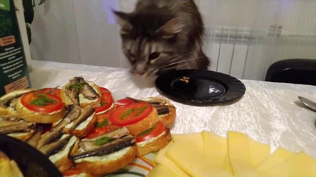 Мейнкун Грэй отмечает Новый год смотреть онлайн