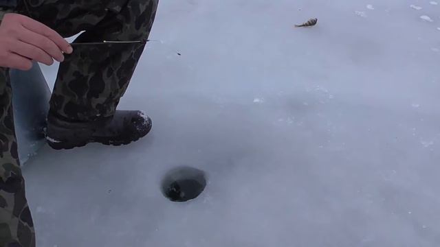 Зимняя рыбалка . Молдова , Моловата 2017 смотреть онлайн