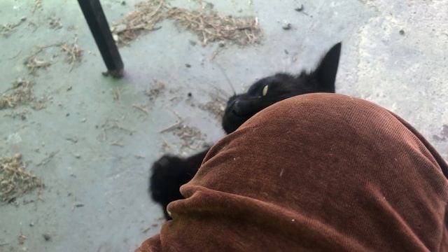 Пол дня без света и воды Весь день на ногах 30 08 2022 смотреть онлайн