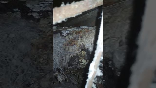 Течёт со стояка смотреть онлайн