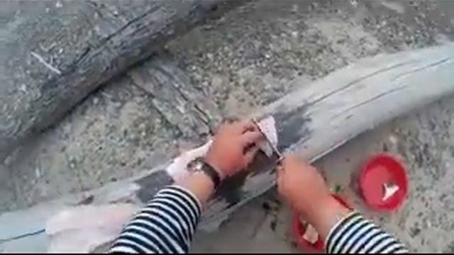 Правильная разделка рыбы, ленок ! смотреть онлайн