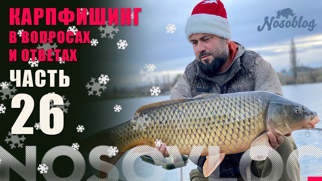 Карпфишинг в вопросах и ответах, выпуск 26 "Новогодний", А. Колесников смотреть онлайн