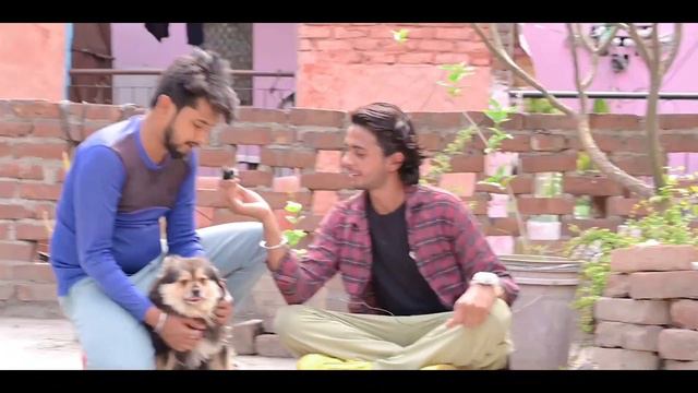 CHEAPEST Dogs For Sales 😱American Bully,pug,Pitbull,etc / Dogs Market In Delhi / PetLoverJody. смотреть онлайн