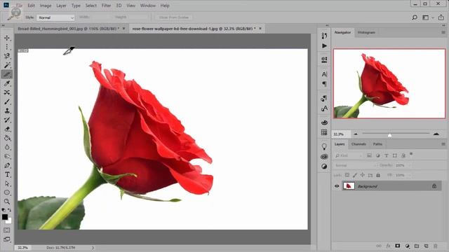 How to Use Crop and Slice Tool in photoshop for Beginners | தமிழ்கல்வி | Tamilkalvi смотреть онлайн