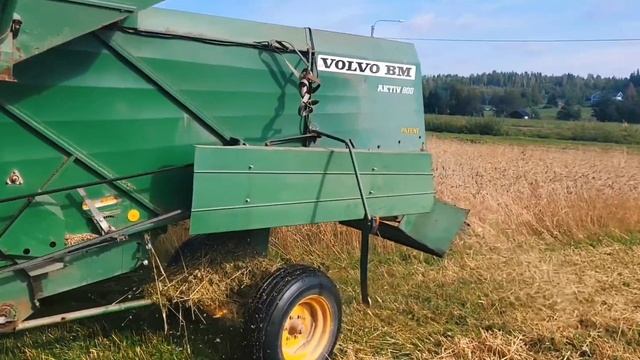 Heritage Wheat Harvesting with an Old Vintage Combine Harvester Volvo BM Aktiv 800 смотреть онлайн