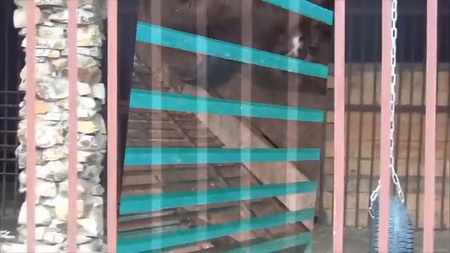 осень зюраткуль смотреть онлайн