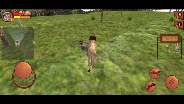 Ultimate Lion Simulator - Animals Battle | Wild Animals | Wild Lion | RKM Gaming | #15 смотреть онлайн