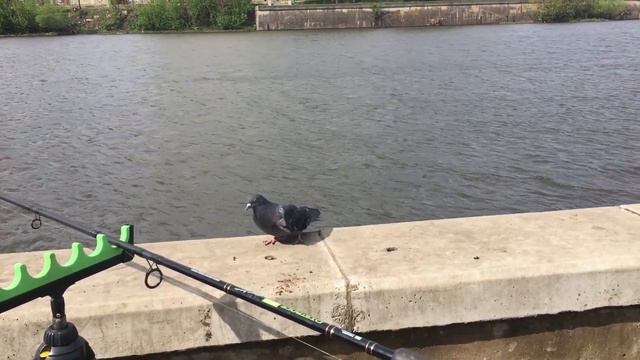 Ока. Набережная. 29.04.2023 смотреть онлайн