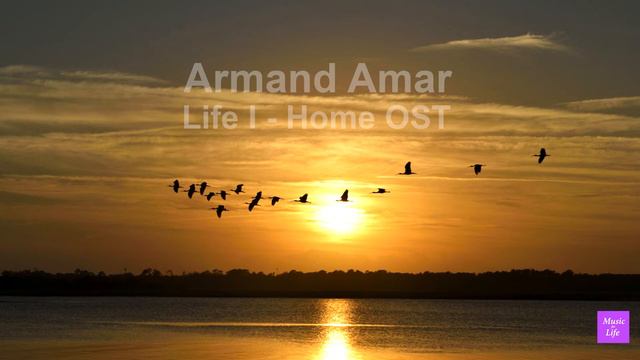 Armand Amar - Life I - Home OST смотреть онлайн