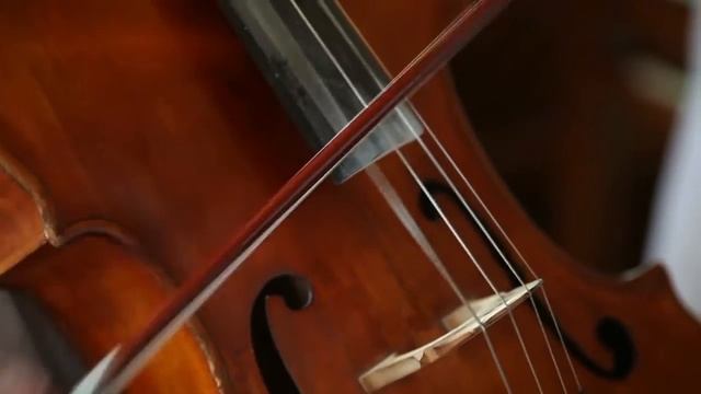 Живая музыка Харьков. Фуршетно-банкетно-свадебно-концертный ансамбль смотреть онлайн