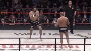 Фёдор Емельяненко   Андрей Арловский