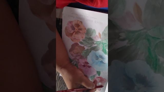 Coloring Pansies... смотреть онлайн