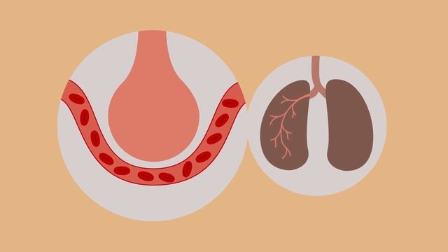 Transport in Cells Active Transport, part – 2. Транспорт в клетках: Активный транспорт, часть – 2 смотреть онлайн
