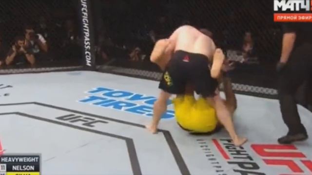 Roy Nelson vs Antonio Silva Knockout смотреть онлайн