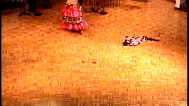 Sandy Dancing Romanian Gypsy Music смотреть онлайн