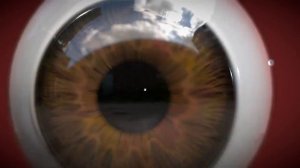 3D модель глаза / 3D model of the eye