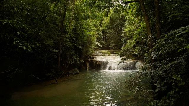 МОЩНЫЙ СПИСОК АФФИРМАЦИЙ БЛАГОДАРНОСТИ смотреть онлайн