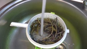 Готовим папоротник,  салат из пресно - сухой консервации 2023г.