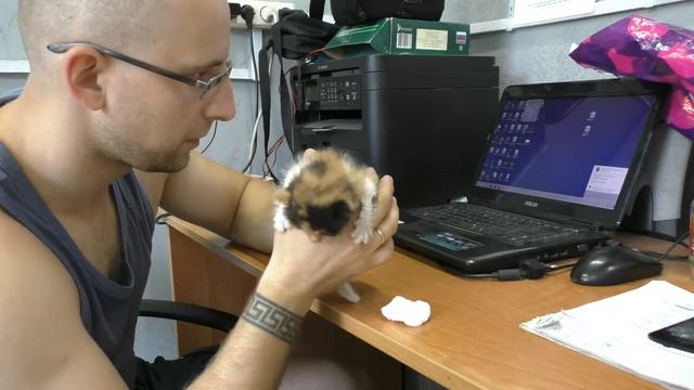 DШ#3 ПОМОГАЕМ ТРЕХЦВЕТКЕ КАКАТЬ смотреть онлайн