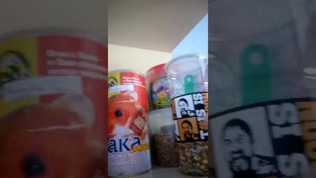 Полки для животных,корм который я использую ,как дела у питомцев,мини влог смотреть онлайн