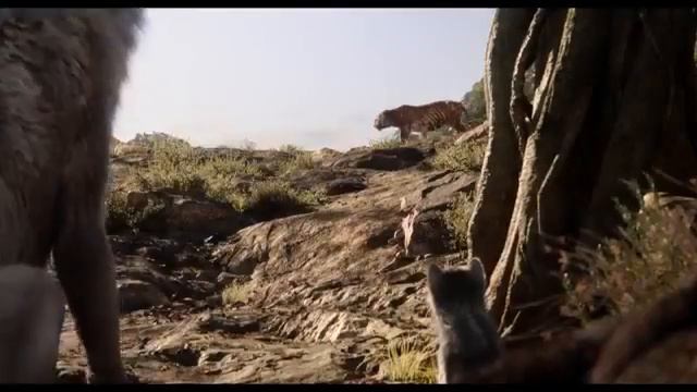 В интернет-магазинах появится капсульная коллекция Kenzo «Книга джунглей» смотреть онлайн