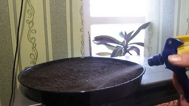 ЛУЧШАЯ земля для рассады ТОМАТОВ, ПЕРЦЕВ И Т.Д.: Подготовка и обеззараживание грунта СВОИМИ РУКАМИ смотреть онлайн