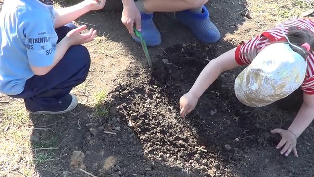 ВЛОГ//Будущие огородники смотреть онлайн