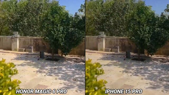 Honor Magic 6 pro vs iphone 15 pro Camera test смотреть онлайн