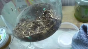 ЗОЛОТО ДЛЯ НОВИЧКОВ из 500 грамм импортных контактов