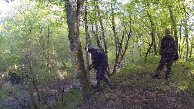 ШИЗЕ 2018 . 12 смотреть онлайн