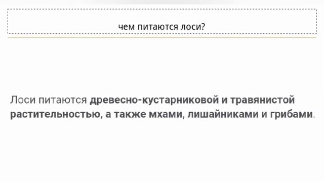 информация о лосе школа N°11 естествознание смотреть онлайн