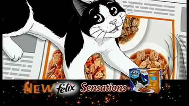 Felix Cat Food